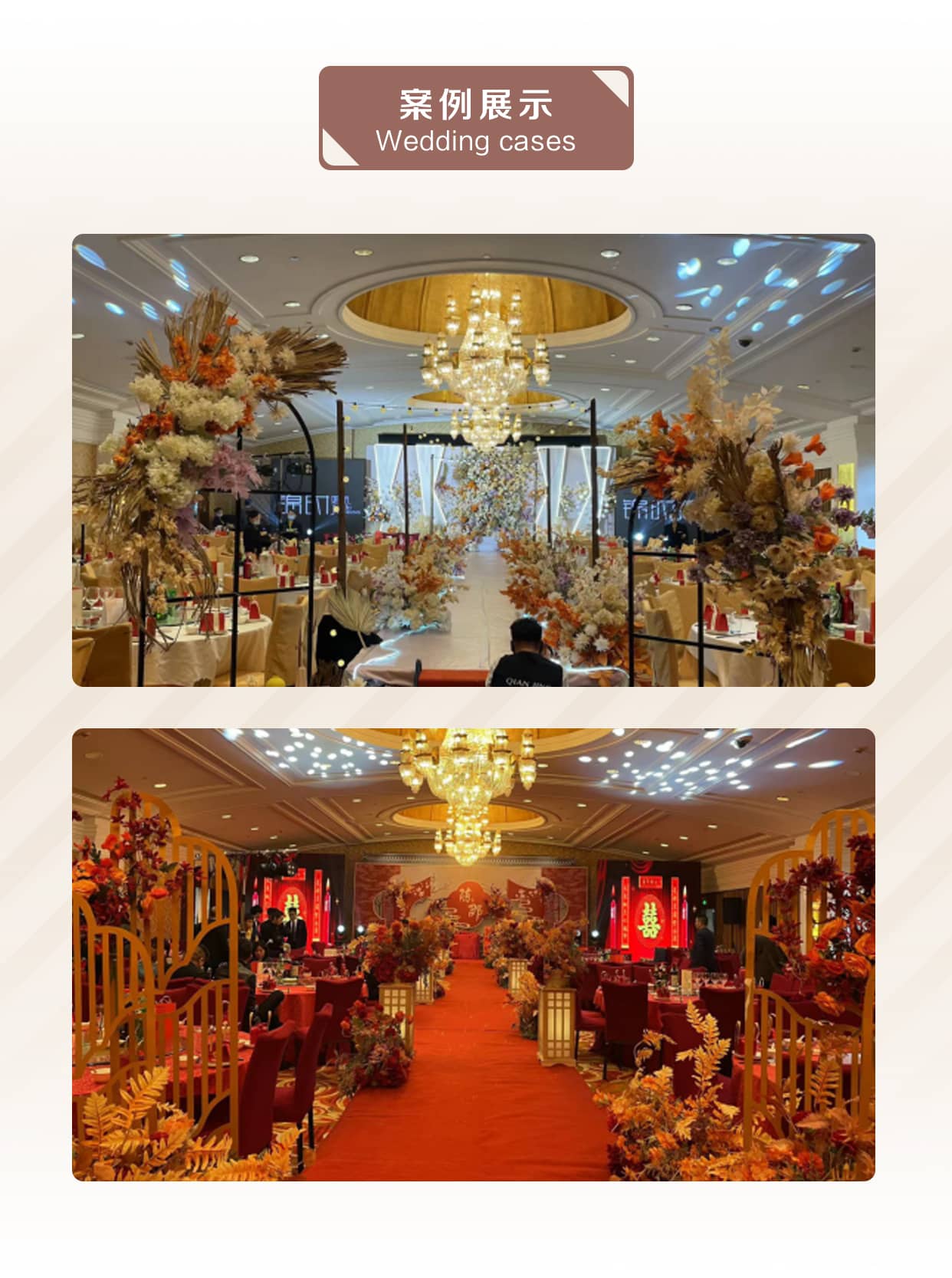 案例展示.jpg